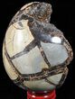 Septarian Dragon Egg Geode - Black Crystals #57394-1